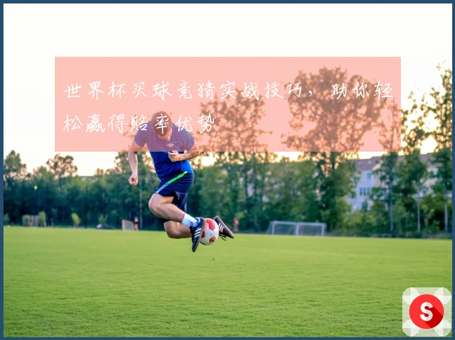 世界杯买球竞猜实战技巧，助你轻松赢得赔率优势