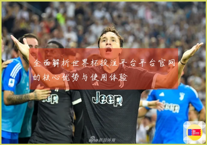 全面解析世界杯投注平台平台官网的核心优势与使用体验