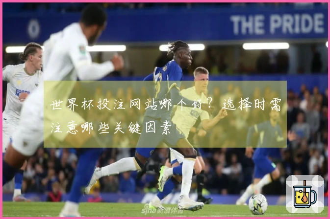 世界杯投注网站哪个好？选择时需注意哪些关键因素