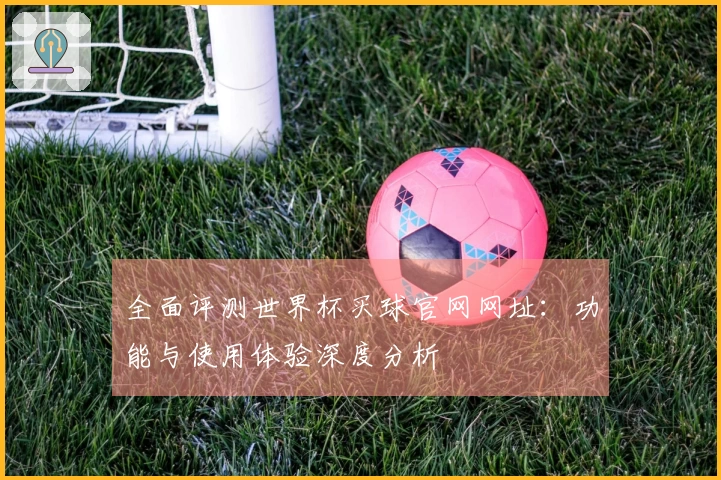 全面评测世界杯买球官网网址：功能与使用体验深度分析