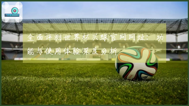 全面评测世界杯买球官网网址：功能与使用体验深度分析