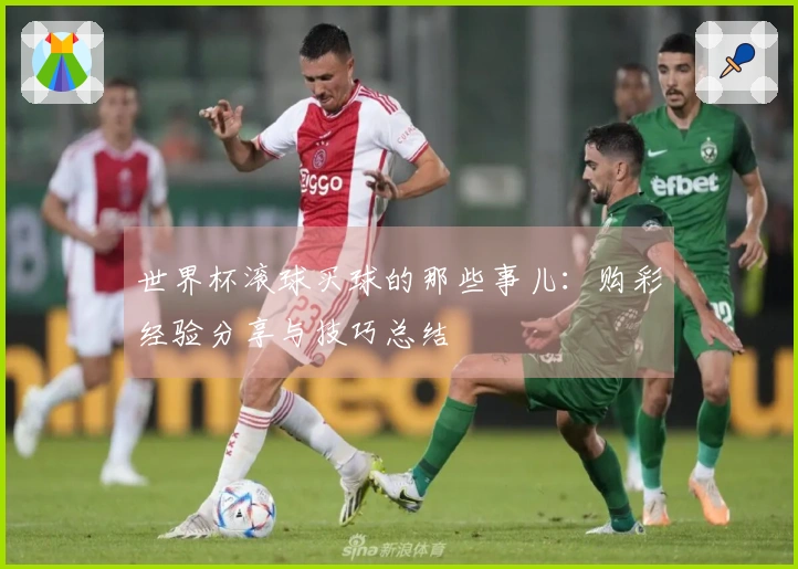 世界杯滚球买球的那些事儿：购彩经验分享与技巧总结
