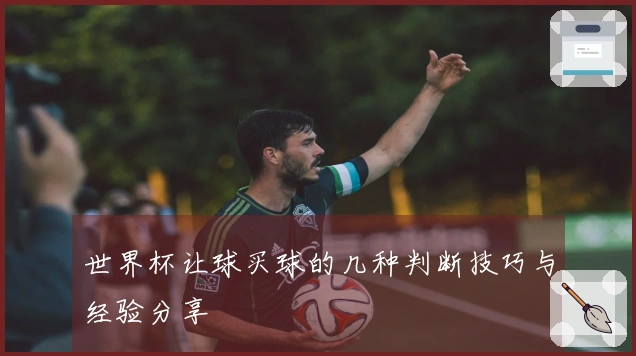 世界杯让球买球的几种判断技巧与经验分享