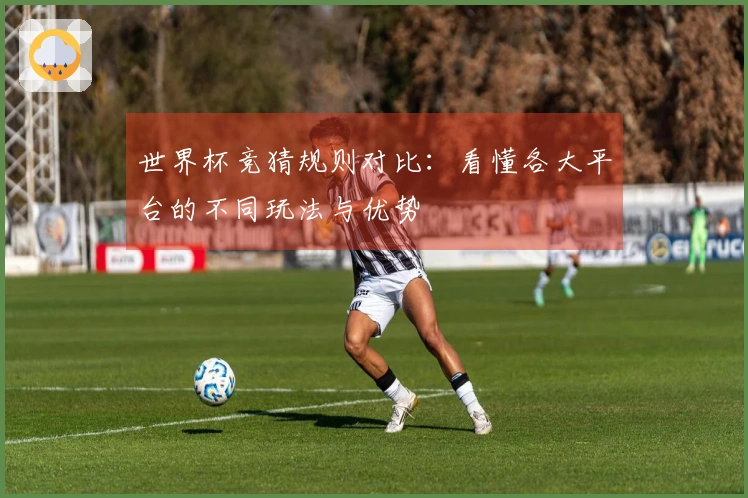 世界杯竞猜规则对比：看懂各大平台的不同玩法与优势